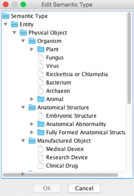 Edit semantic type