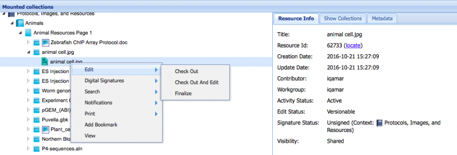 Edit web client