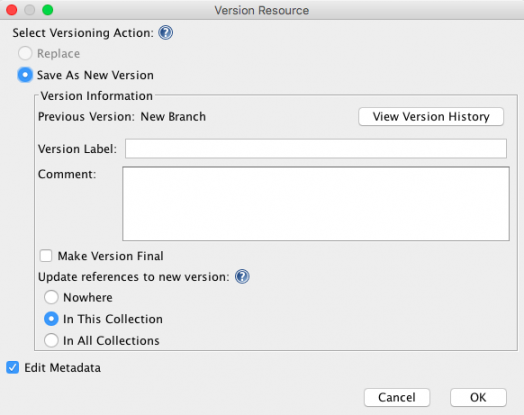 Version resource