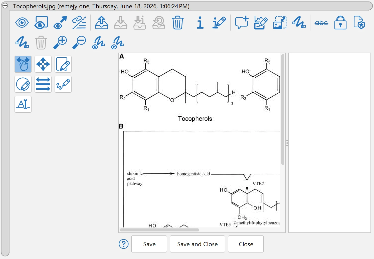 Annotation Editor