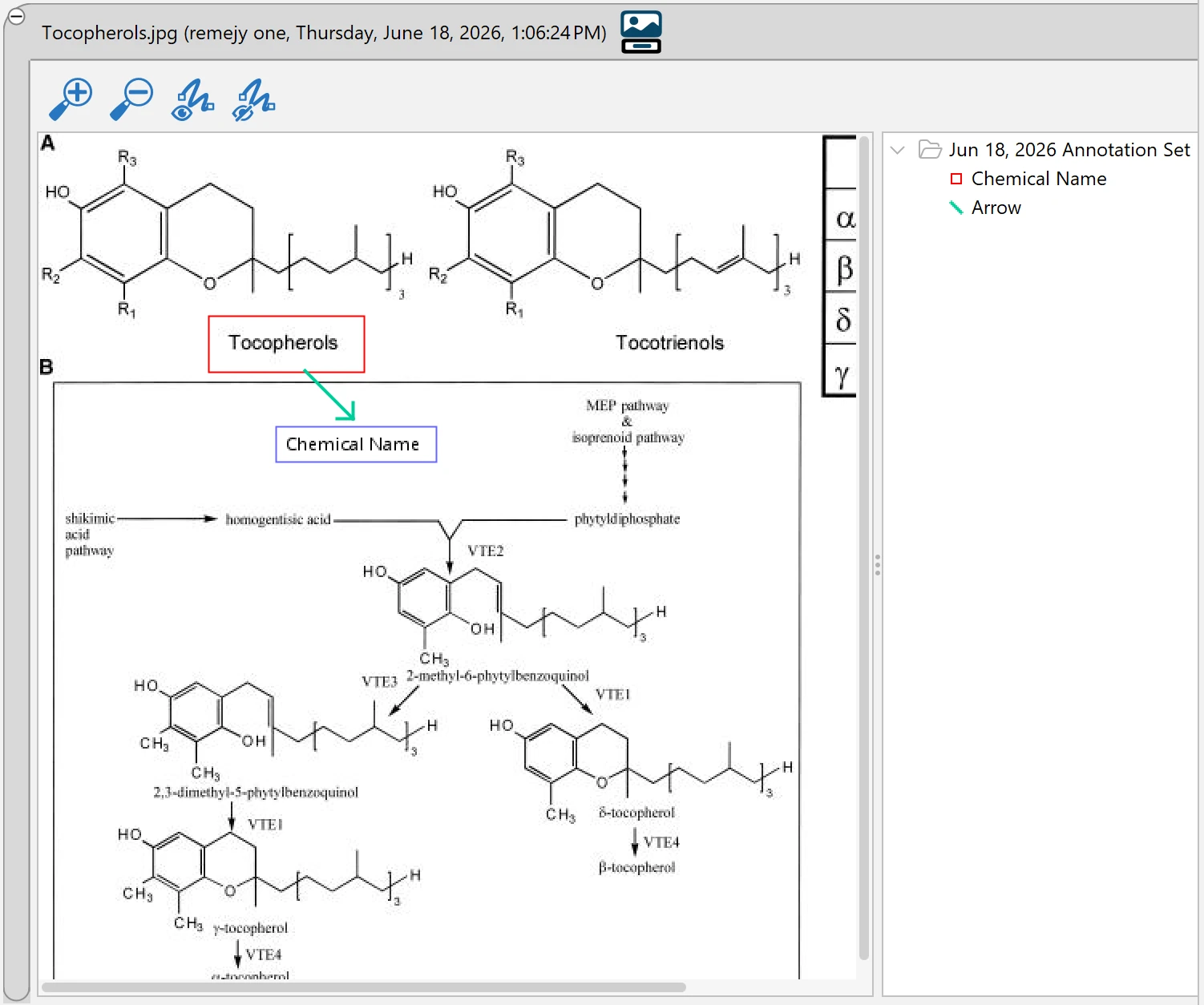 Image with annotations